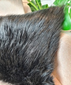 Close up image of the Black Bear fake fur cushion