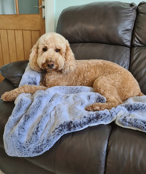 Luxury two tone grey fur dog blanket