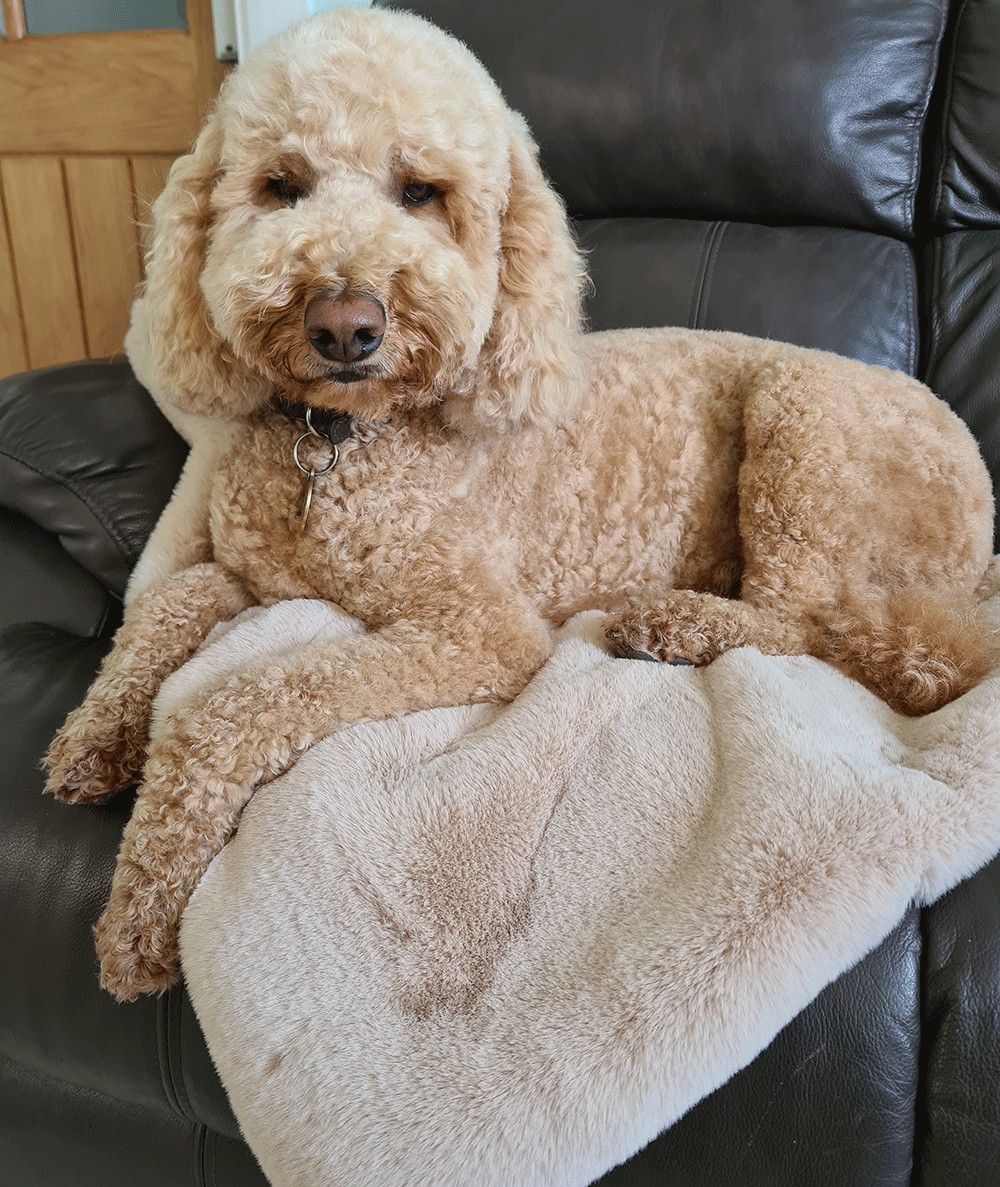 Luxury beige faux fur dog blanket