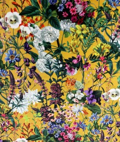 Close up image of the Midsummer luxury velvet fabric