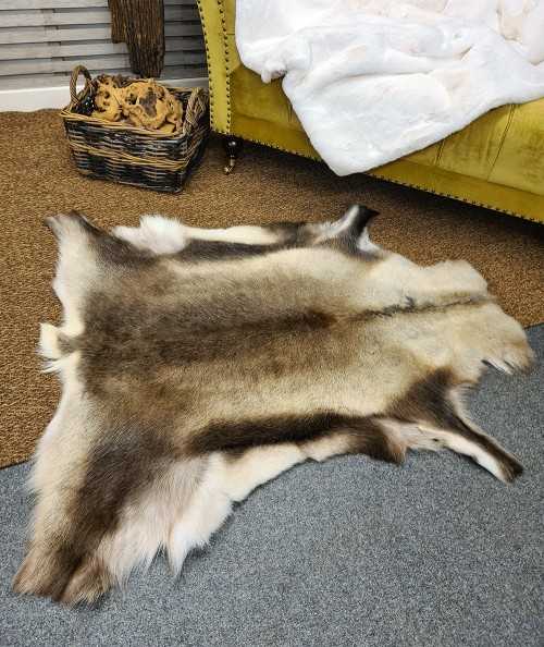 Reindeer Hide Rug 0045M