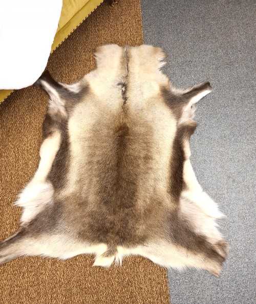 Luxury Reindeer Hide Rug 0045M