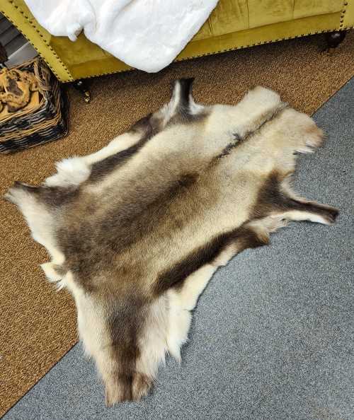 Luxury reindeer pelt 0045M