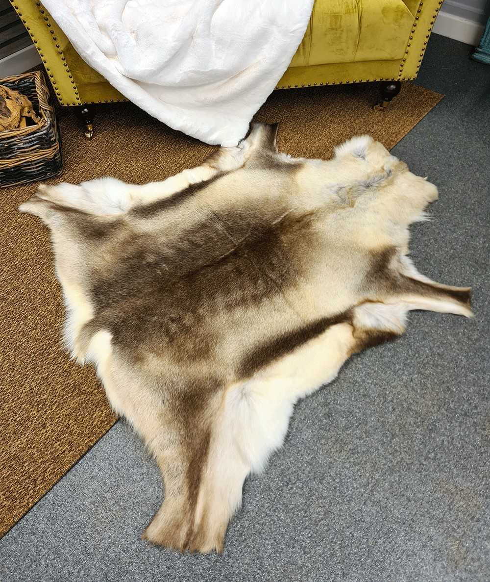 Large Reindeer Skin Rug 0046L