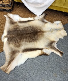 Large Reindeer Hide Rug 0046L