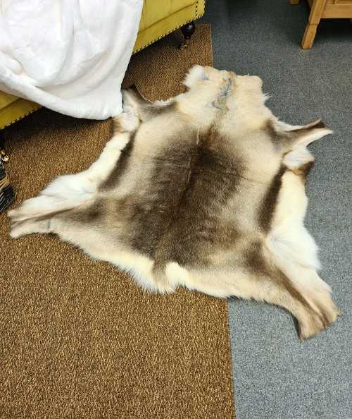 Large Caribou hide rug 0046L