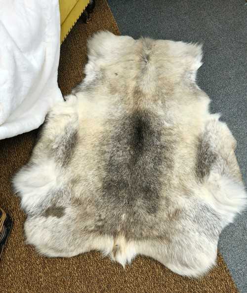 Reindeer rug 0072M