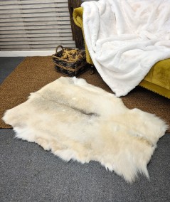 Pale coloured reindeer hide