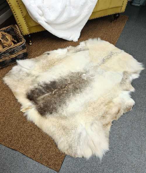 Caribou skin rug