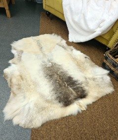 Caribou hide rug