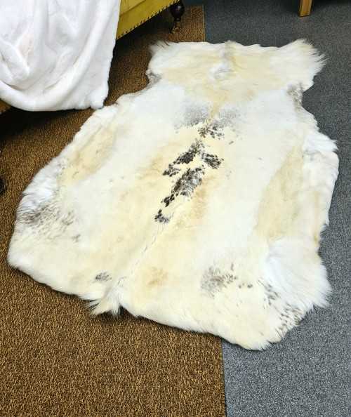 Large Pale Reindeer Skin