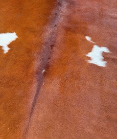 Large Chestnut Brown & White Cowhide CR00162