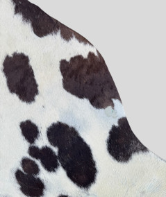 Extra large dark brown and white cowskin rug