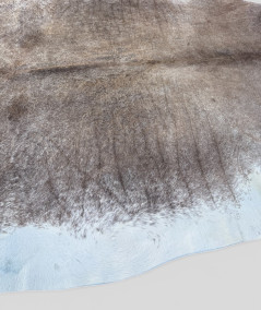 Huge brown and white natural cowhide rug